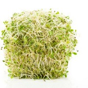 Diet & Nutrition related image